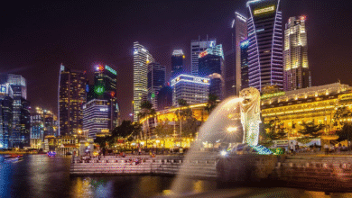 5 Best Singapore River Cruises ([year] Reviews)