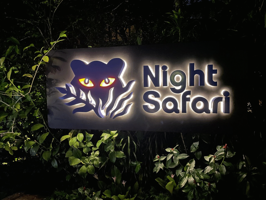 6 Best Singapore Night Safari Tours (2025 Reviews)